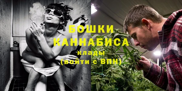 молекула духа Надым