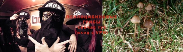 дурь Навашино