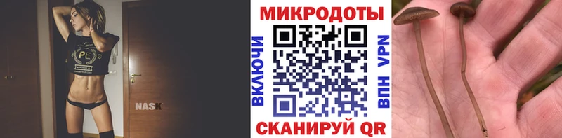 Псилоцибиновые грибы Psilocybe Электроугли