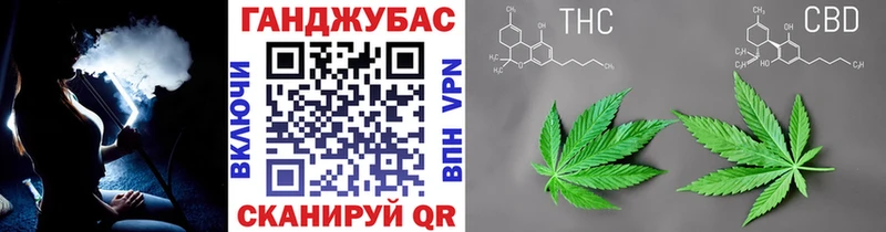 Бошки Шишки планчик  Электроугли 